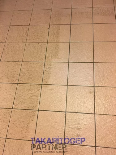 Rotowash R30 vegyszermentes szőnyeg- és padlótisztító gép